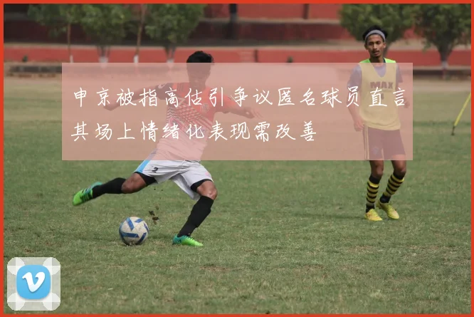 申京被指高估引争议匿名球员直言其场上情绪化表现需改善